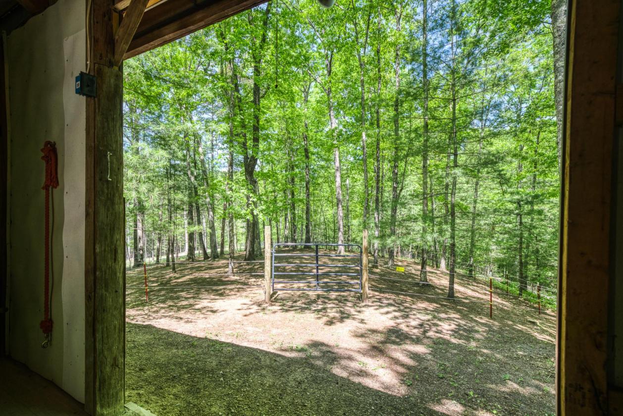 Escape to Your Equestrian Paradise - photo 7