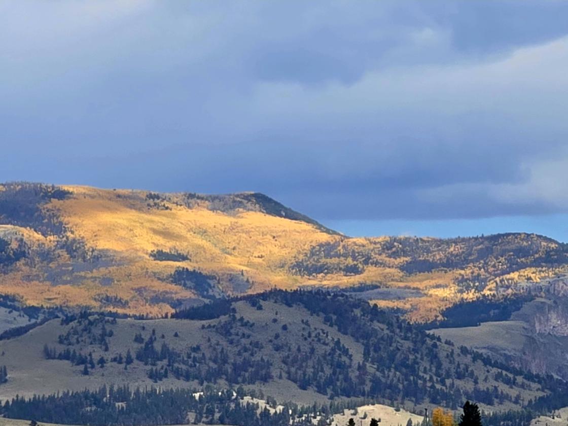 Spectacular Lot on 3.61 acres - photo 4