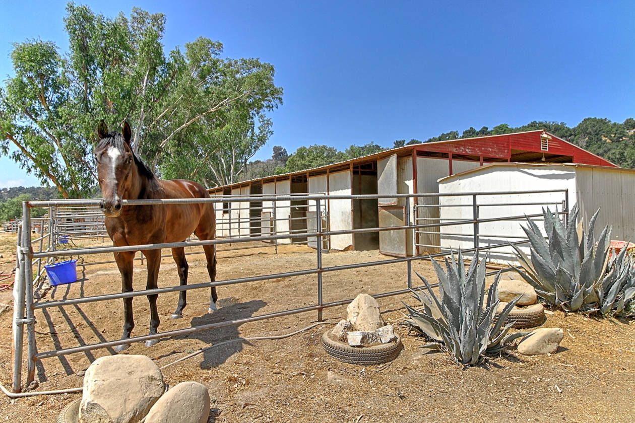 Ojai Valley Equestrian Property Oak View, Ventura County