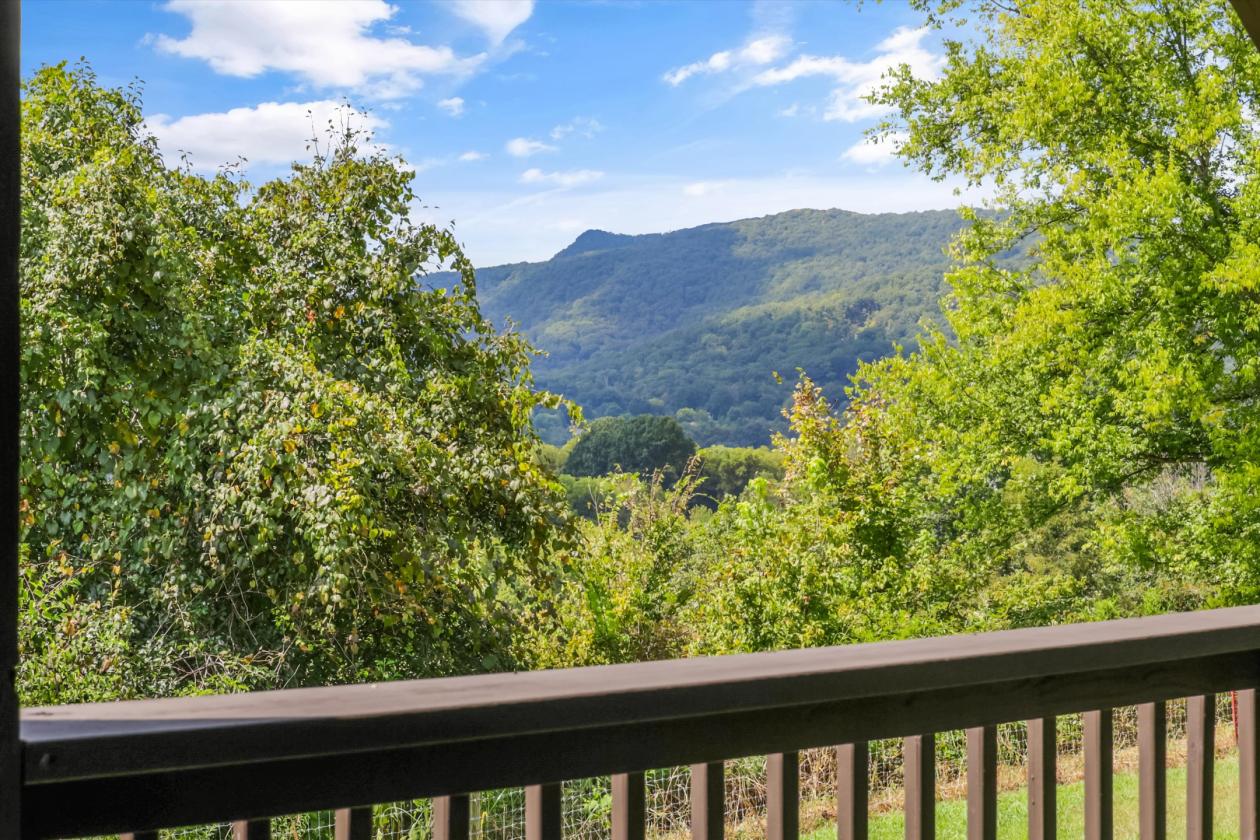 50 Acre Farm | Luxury Home + Equestrian Business - photo 13