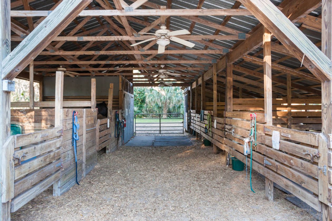 MICANOPY, FLORIDA 30 ACRES Micanopy, Marion County, Florida