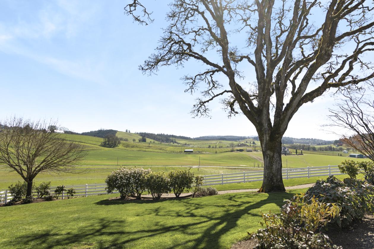 Turn-Key Equestrian Property with Trainer Quarters - photo 18