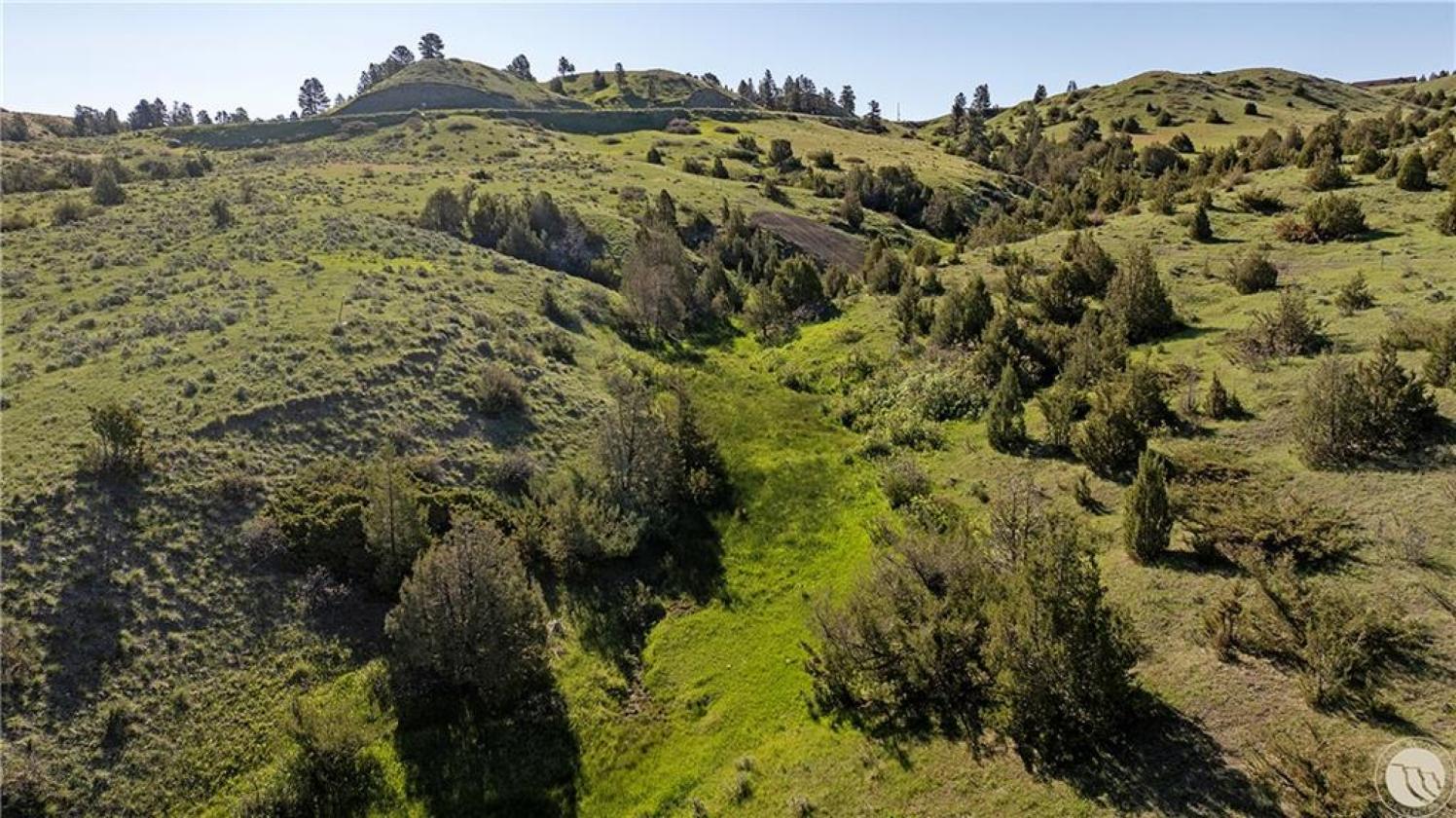 Huntington Ranch - photo 29