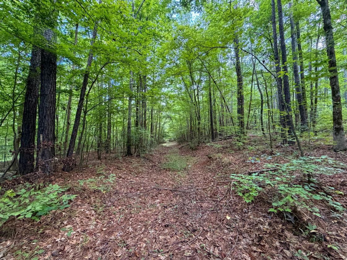 Bear Creek Retreat - photo 24