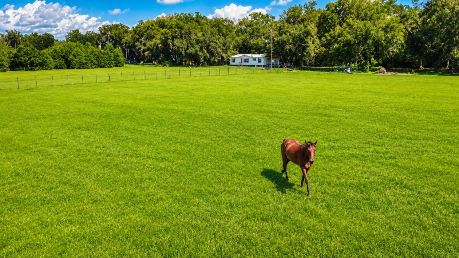 Manufactured home, 5 fenced acres, water supply - photo 4