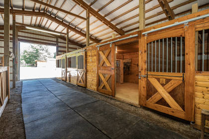 Perfect Set Up For Equine Enthusiast. This Property Has It 