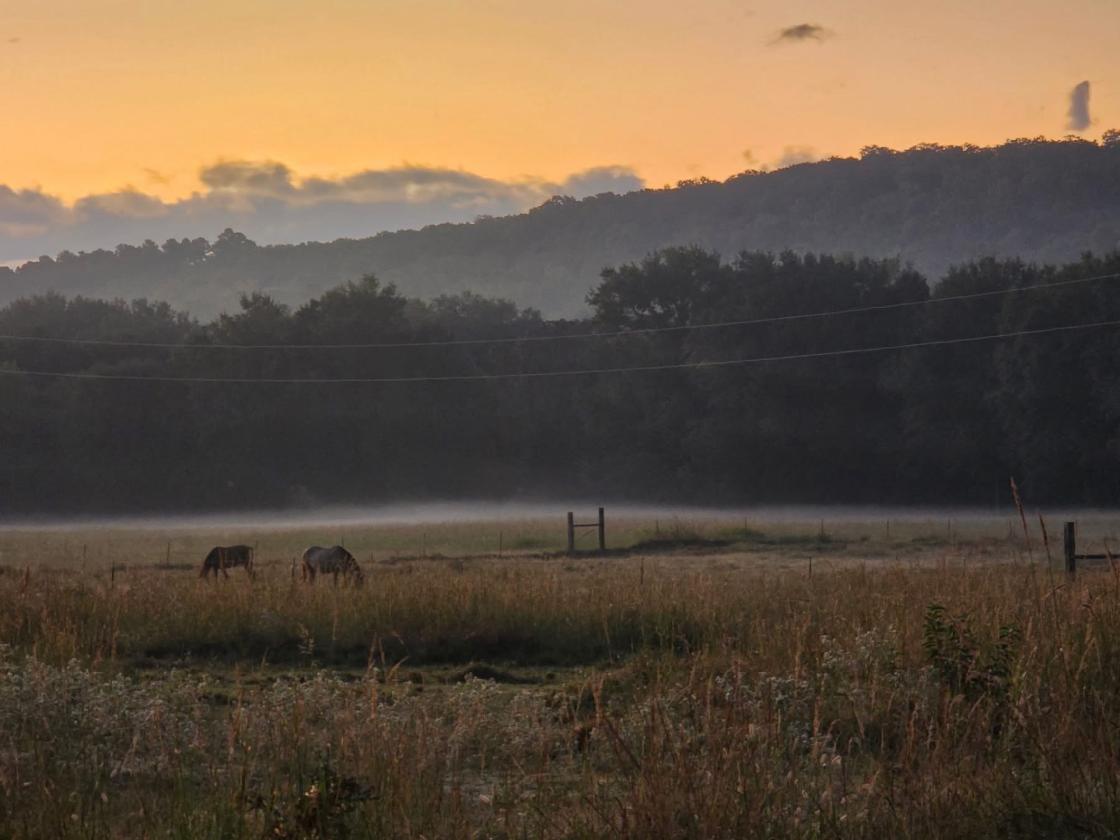 Income-Producing Equestrian Retreat - photo 1