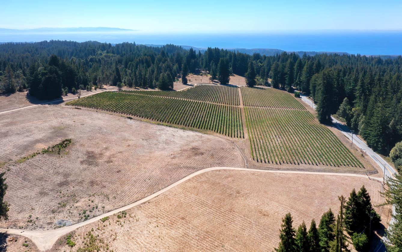 Santa Cruz Equestrian & Vineyard Property - photo 21