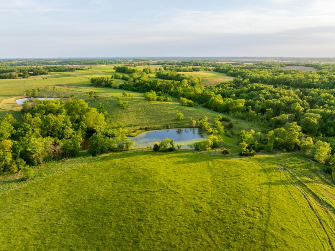 273.5 +/- Acre Turn-Key Cattle and Horse Property - photo 26