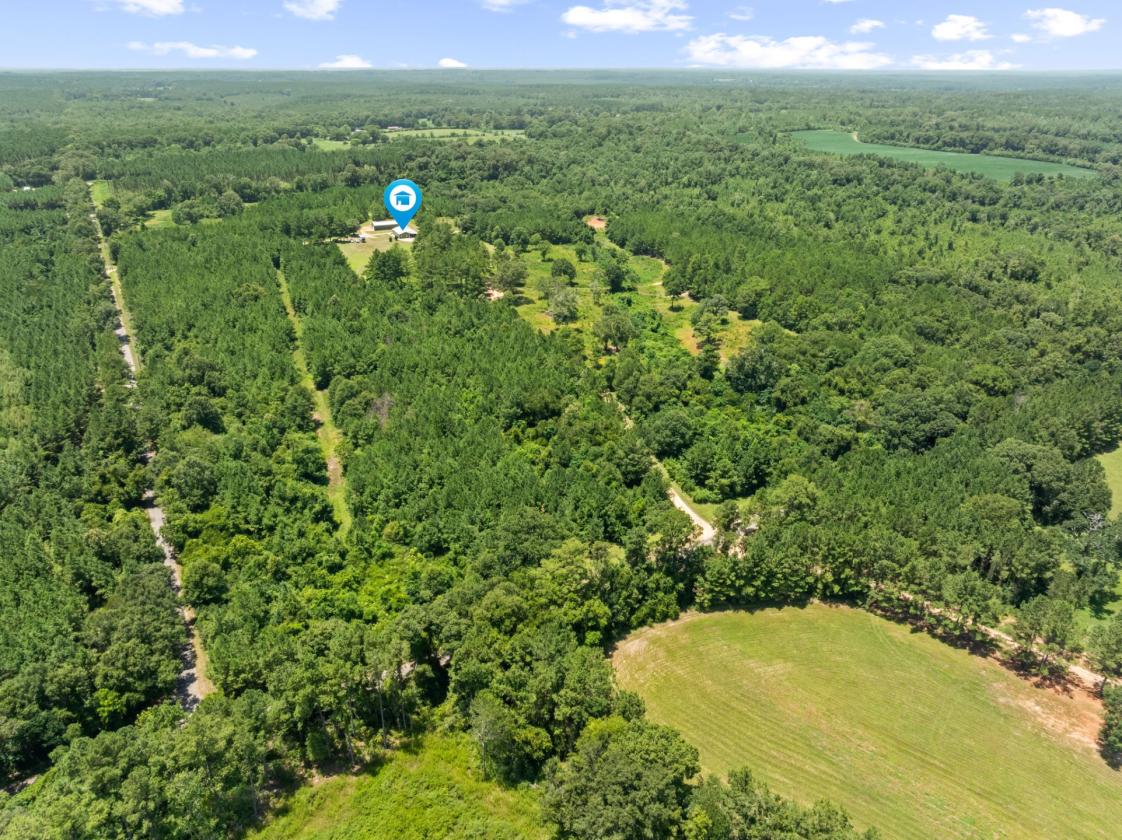 53 Acre parcel with barndominium! - photo 5
