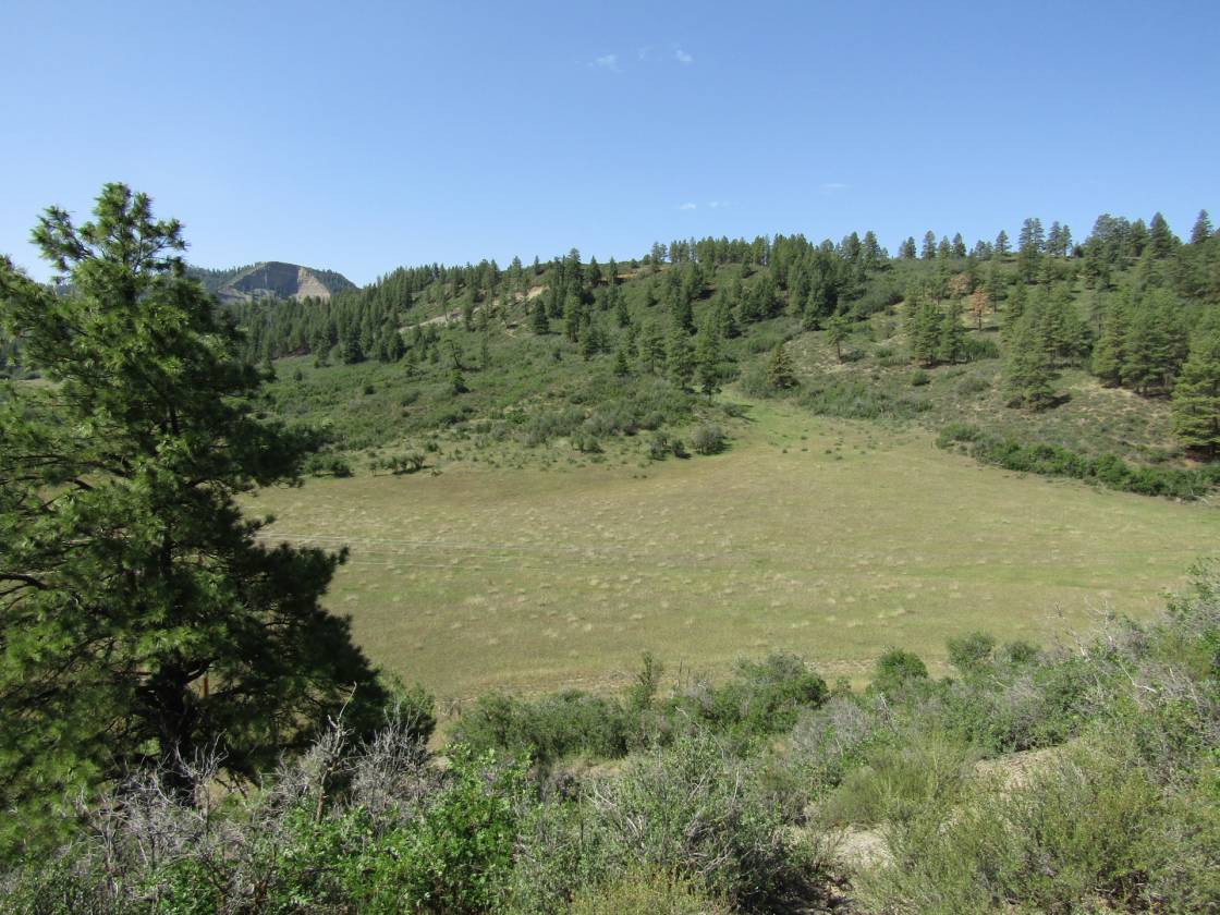 Horse Property for sale.
