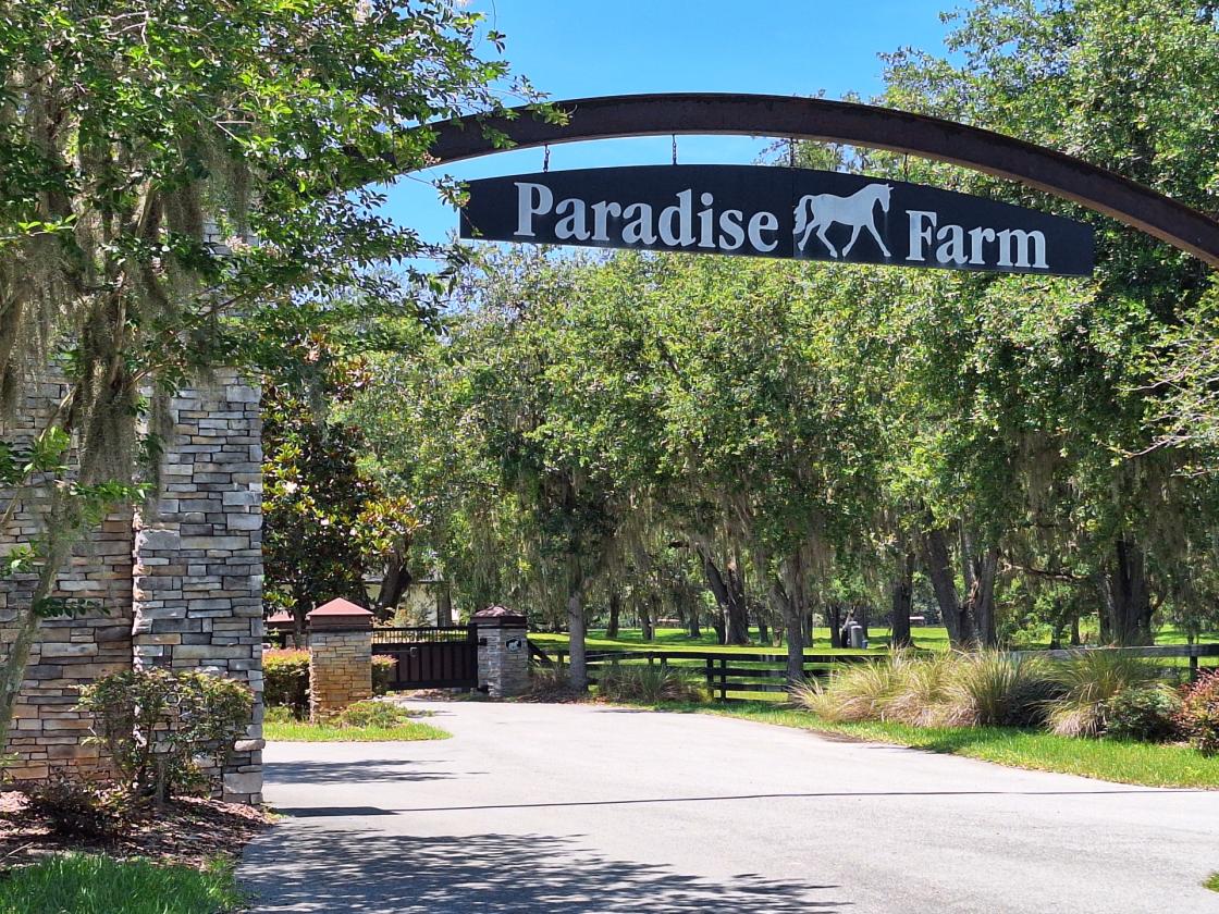 10 ACRES IN GATED EQUESTRIAN COMMUNITY - photo 23