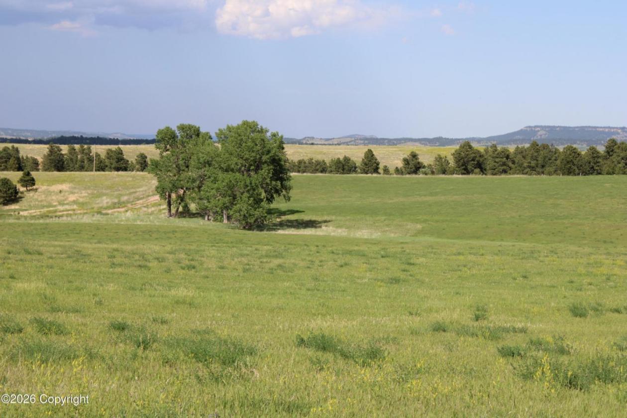 WY Horse Property with Views and NO Covenants! - photo 19