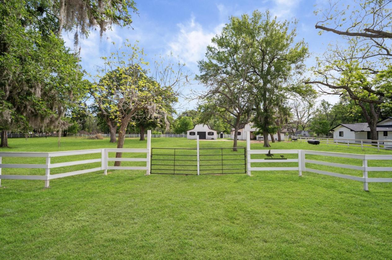 Luxury Home with Horse stables and Land - photo 7