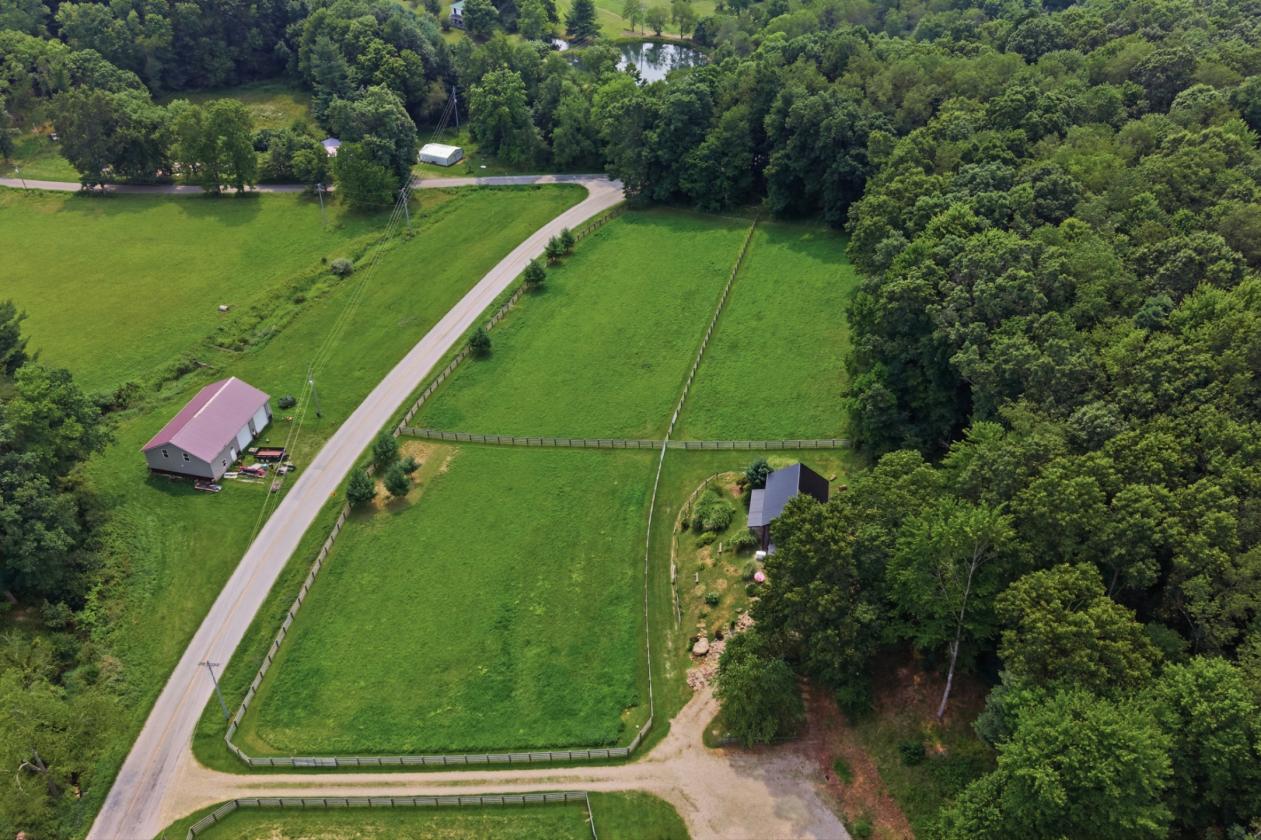 Exceptional Mohican Equine Estate Auction - photo 13