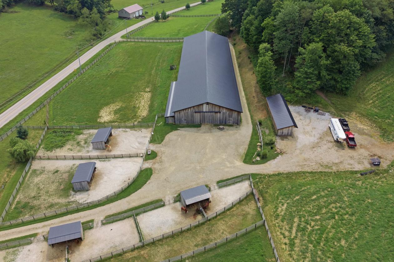 Exceptional Mohican Equine Estate Auction - photo 3
