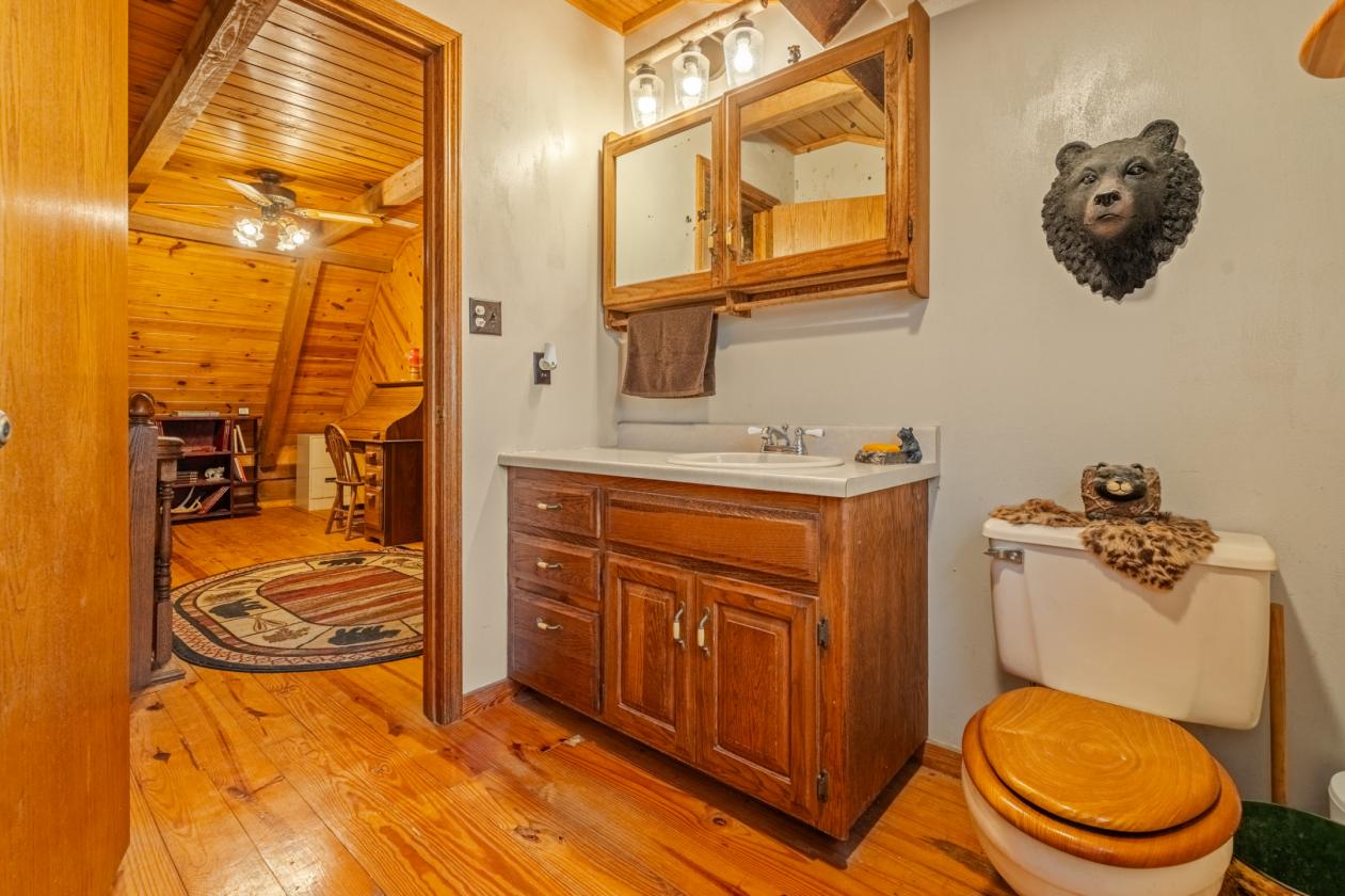 REAL LOG HOME on 12 Unrestricted Acres - photo 12