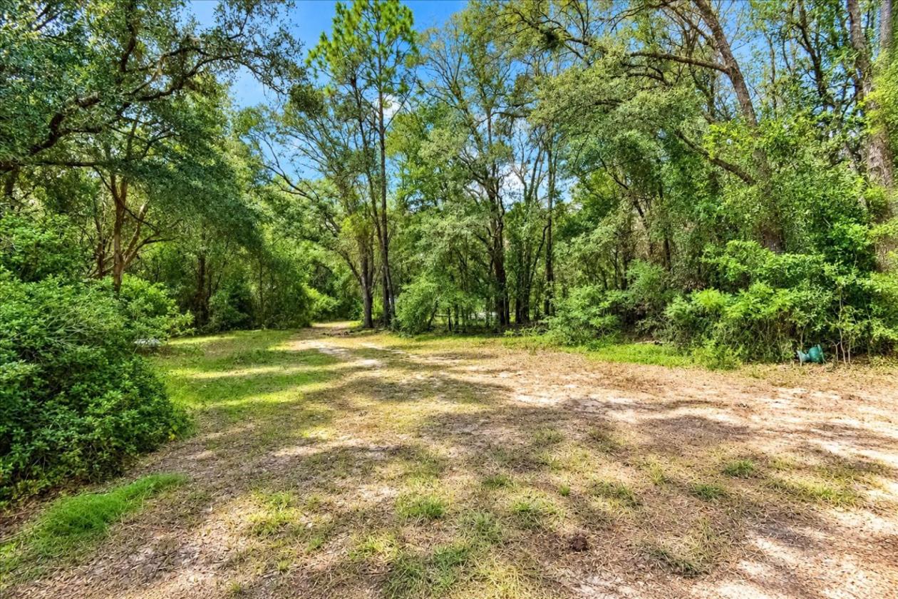 32 ACRES IN LEVY COUNTY NEAR WILLISTON - photo 3