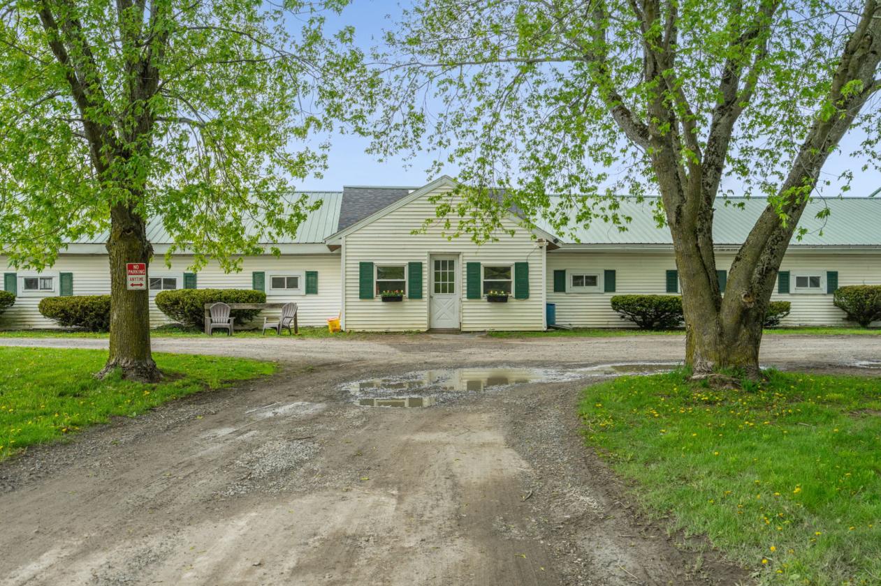 Equine training facility in the Capital District - photo 8