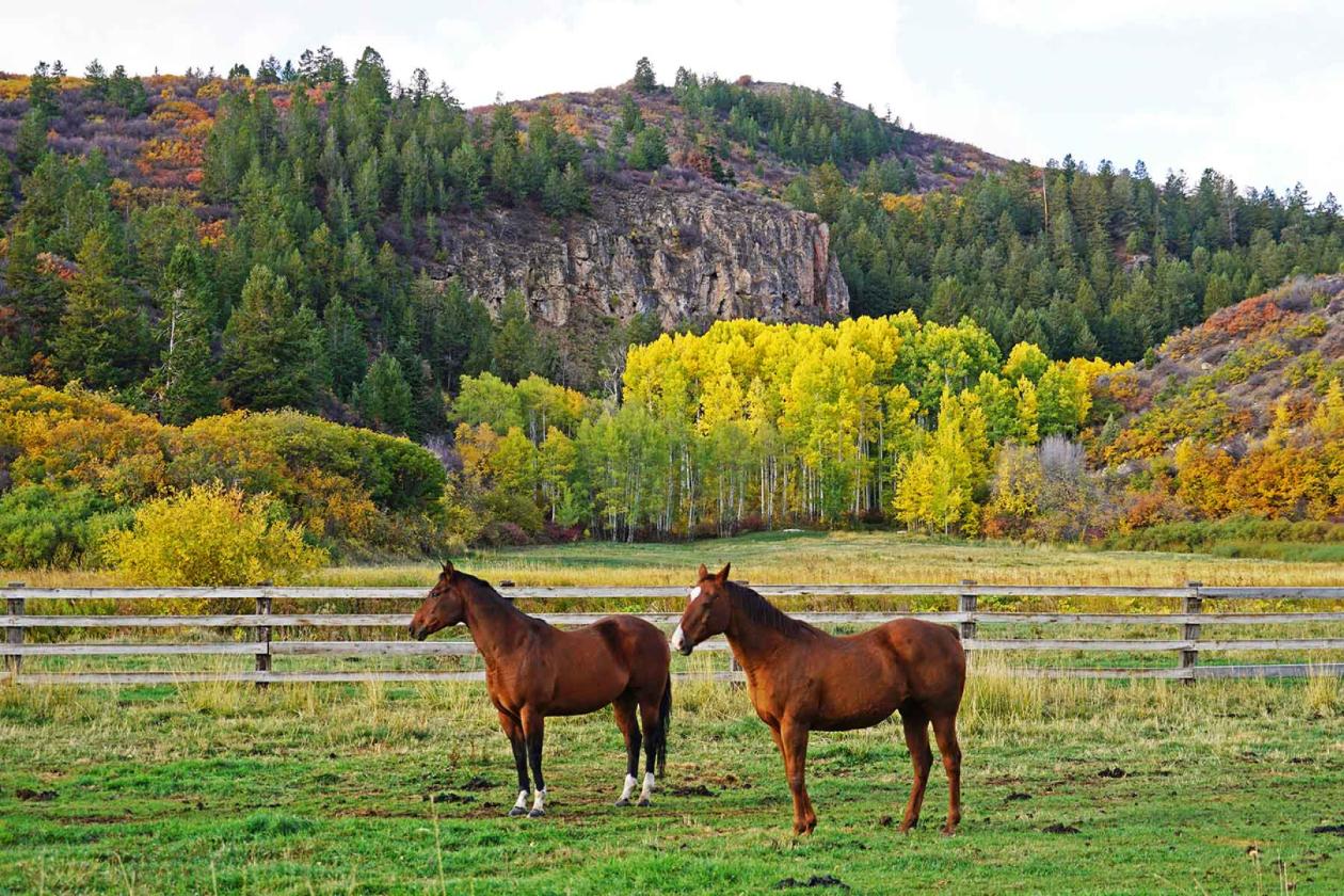 Ranch on Sweetwater - photo 11