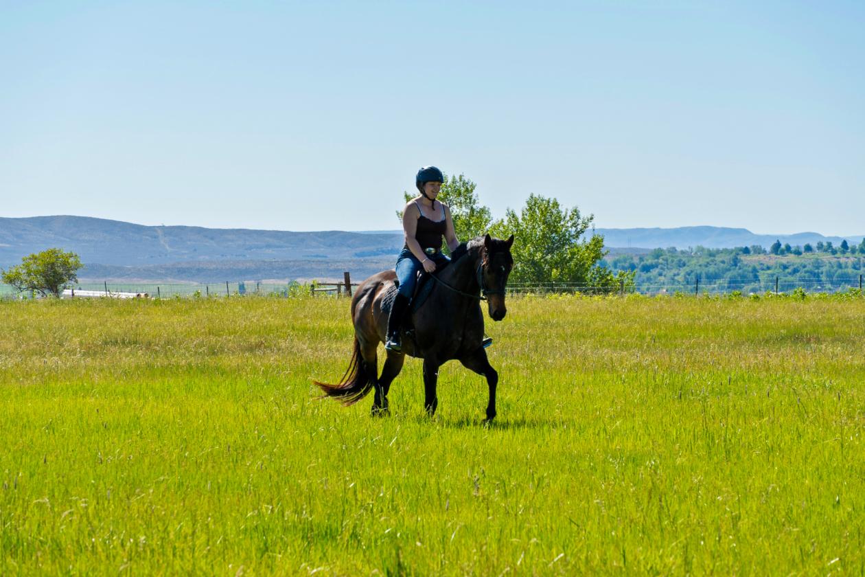 Exceptional horse property with beautiful views - photo 17