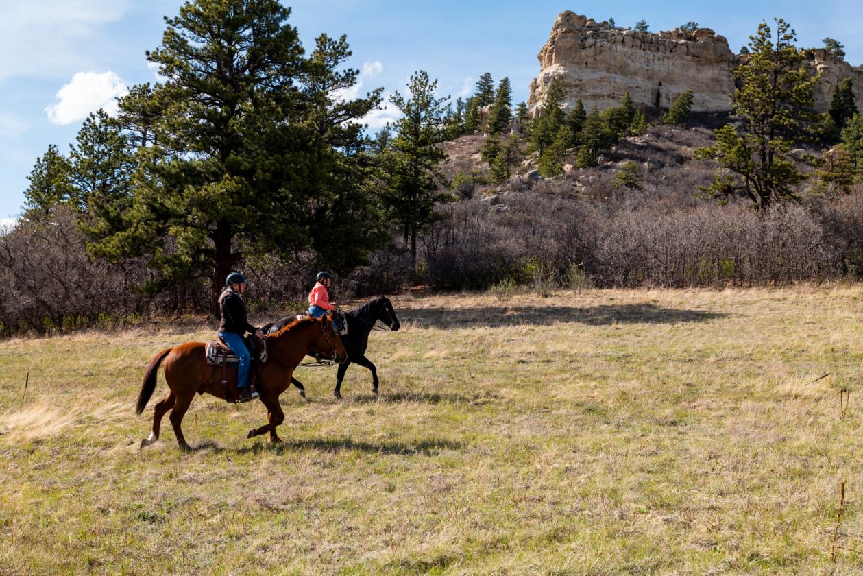 Ghost Rider Ranch - photo 17