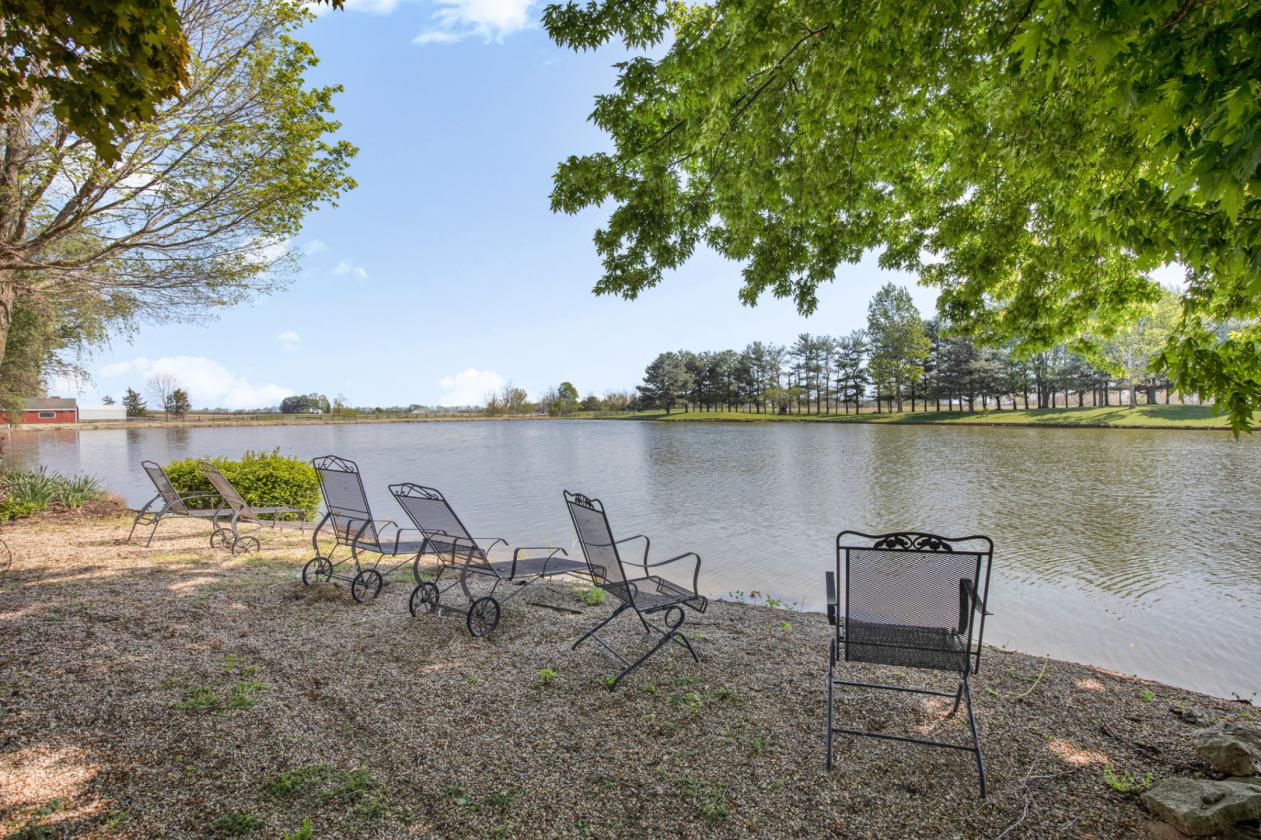 Equestrian Estate or Corporate Retreat near LEAP - photo 25
