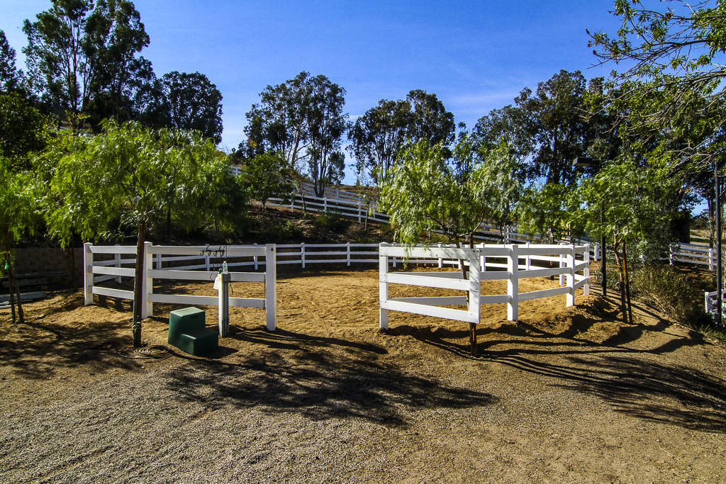 Luxury equestrian estate with 2016 custom built home and complete horse
