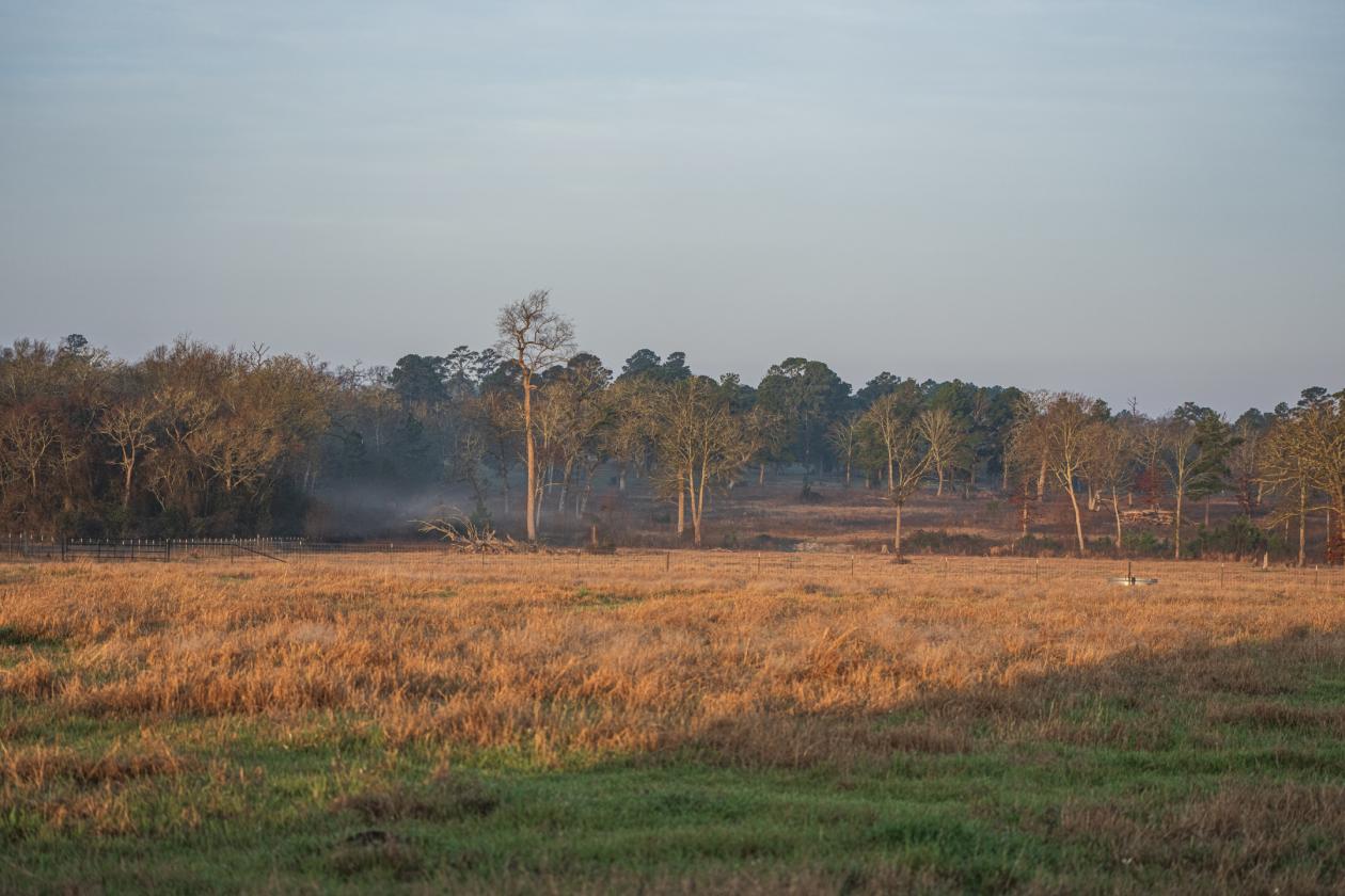 Huntsville 50 Ranch - photo 15