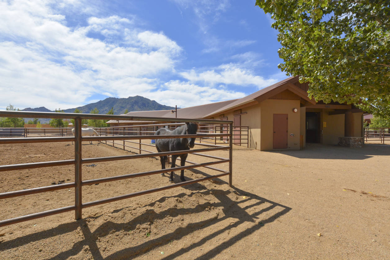 ARIZONA'S PREMIERE EQUESTRIAN COMMUNITY IN BEAUTIFUL PRESCOTT