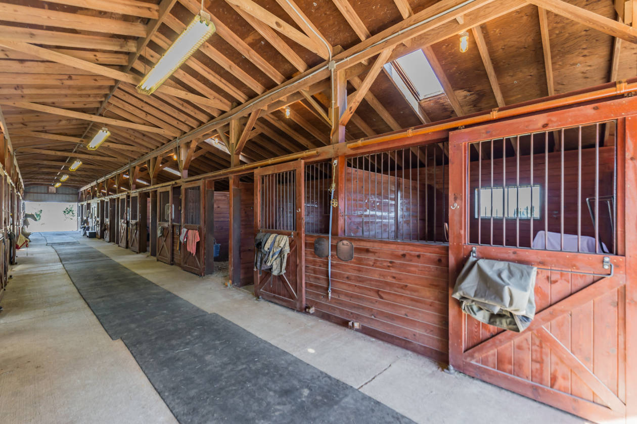 Premier Equestrian Hunter/Jumper Training and Boarding Facility Farm