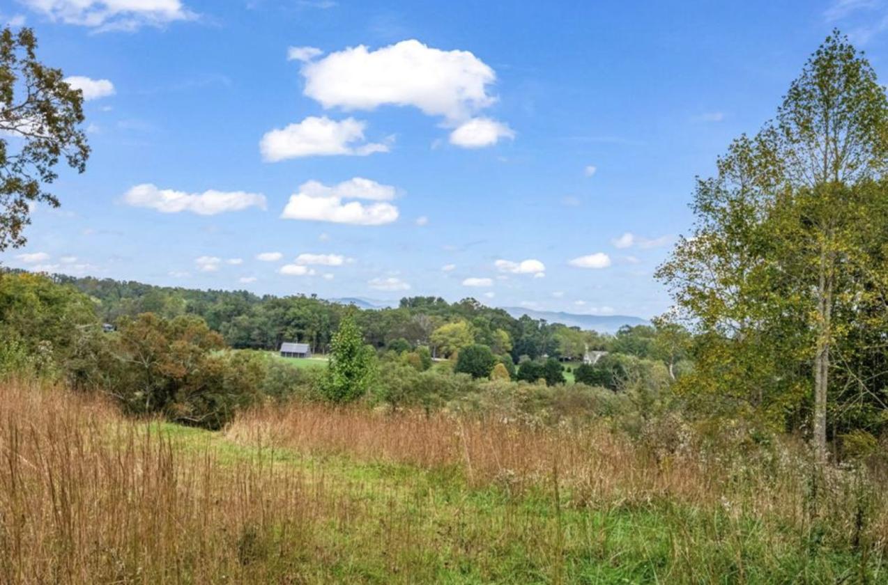 Nearly 50 Acres, Close to Asheville - photo 9