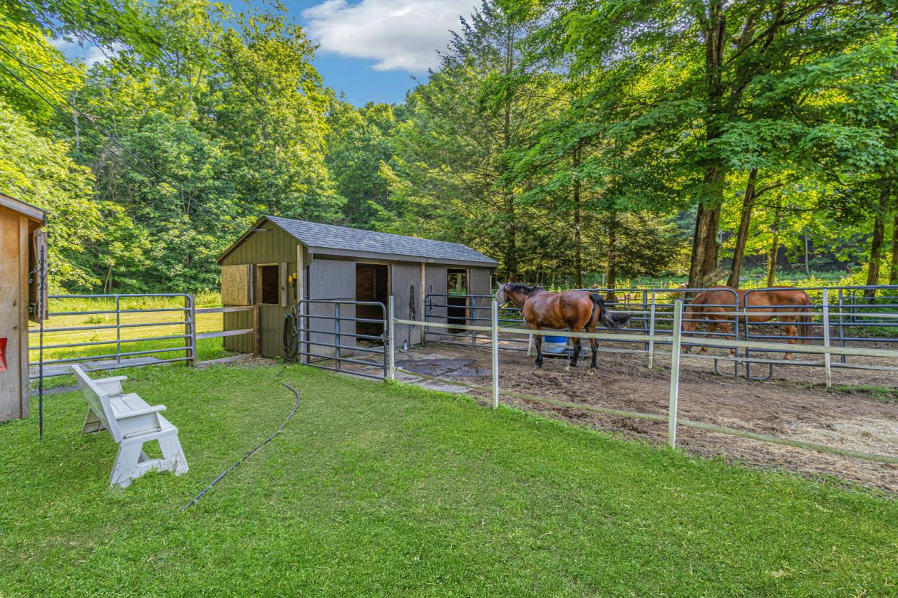Income-Producing Equestrian Retreat! - photo 23