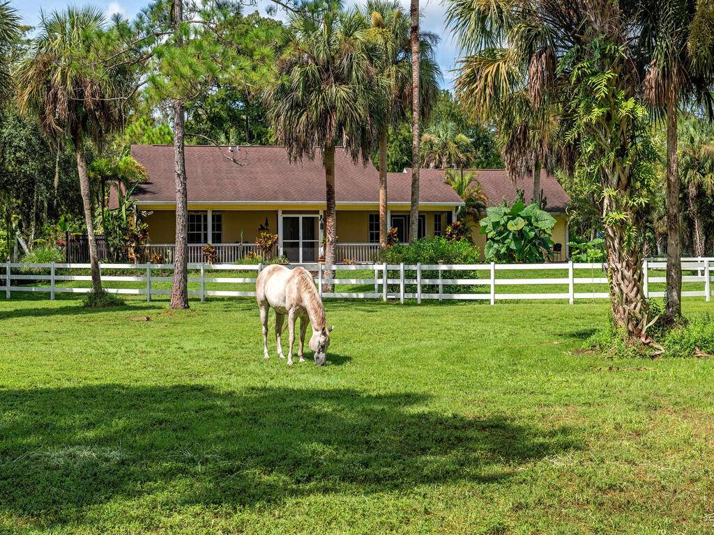 Horse Property for sale.