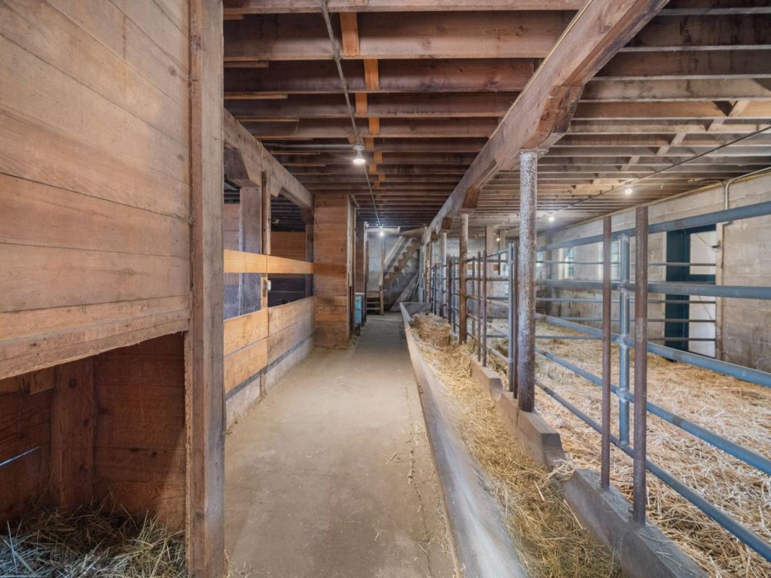 Unique Country Craftsman-Huge Barns-14+ Acres - photo 24