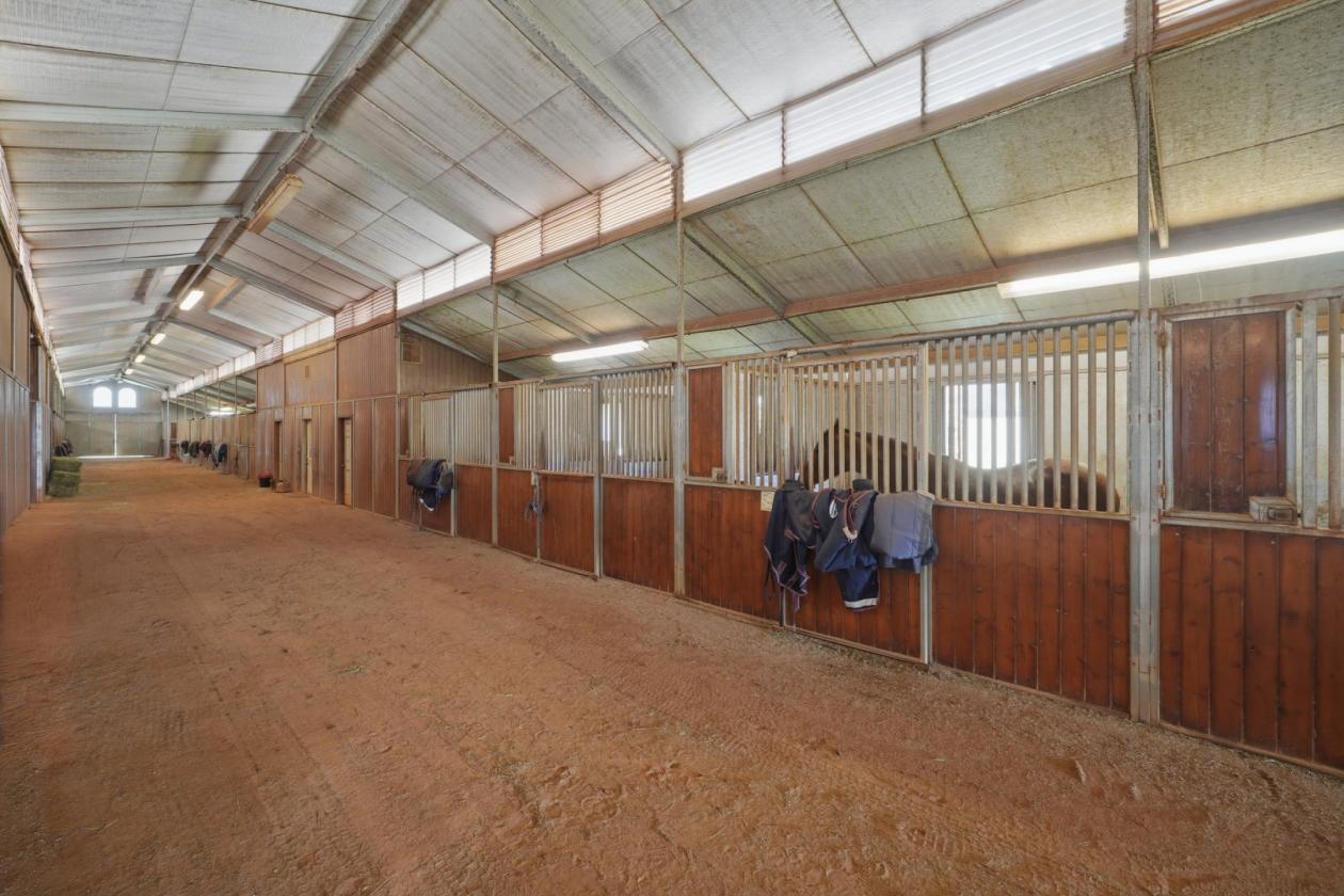 Premier 51± Acre Equestrian Opportunity - photo 6