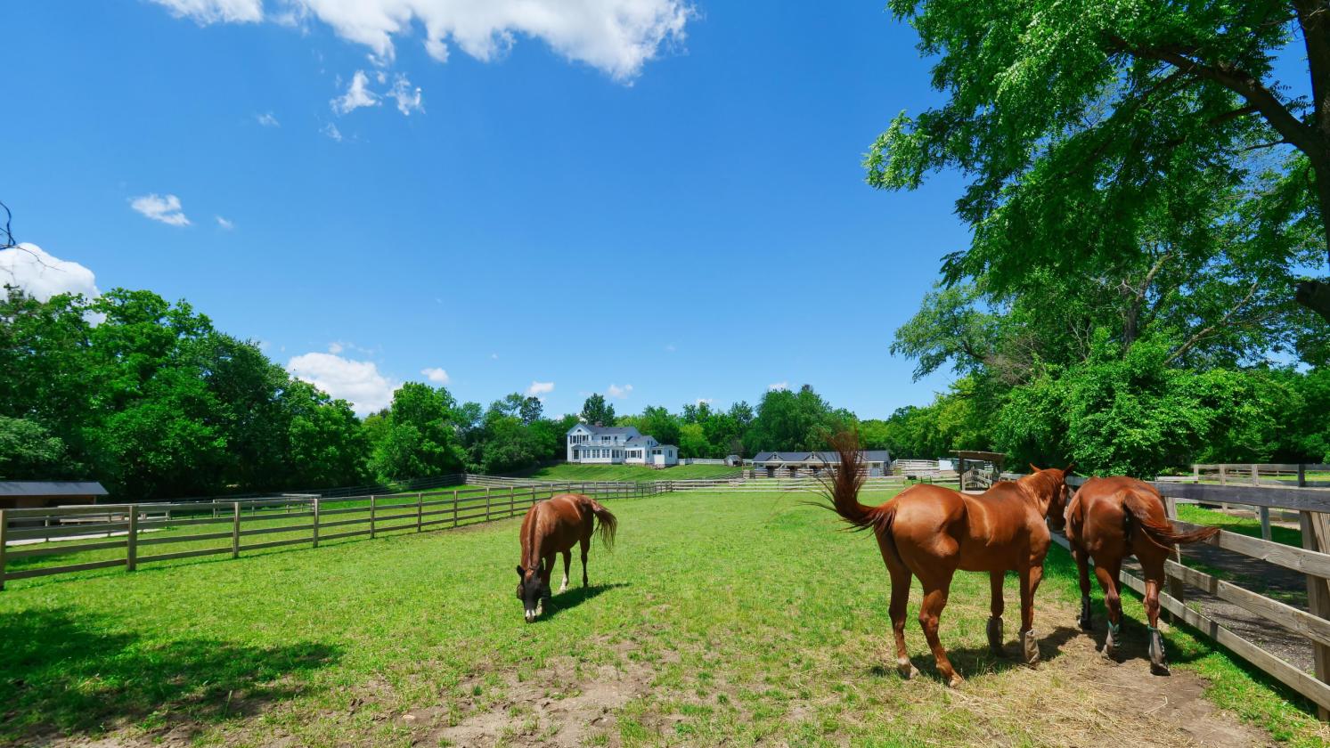 EQUESTRIAN ESTATE/HISTORIC HOME/OWNER FINANCING - photo 24