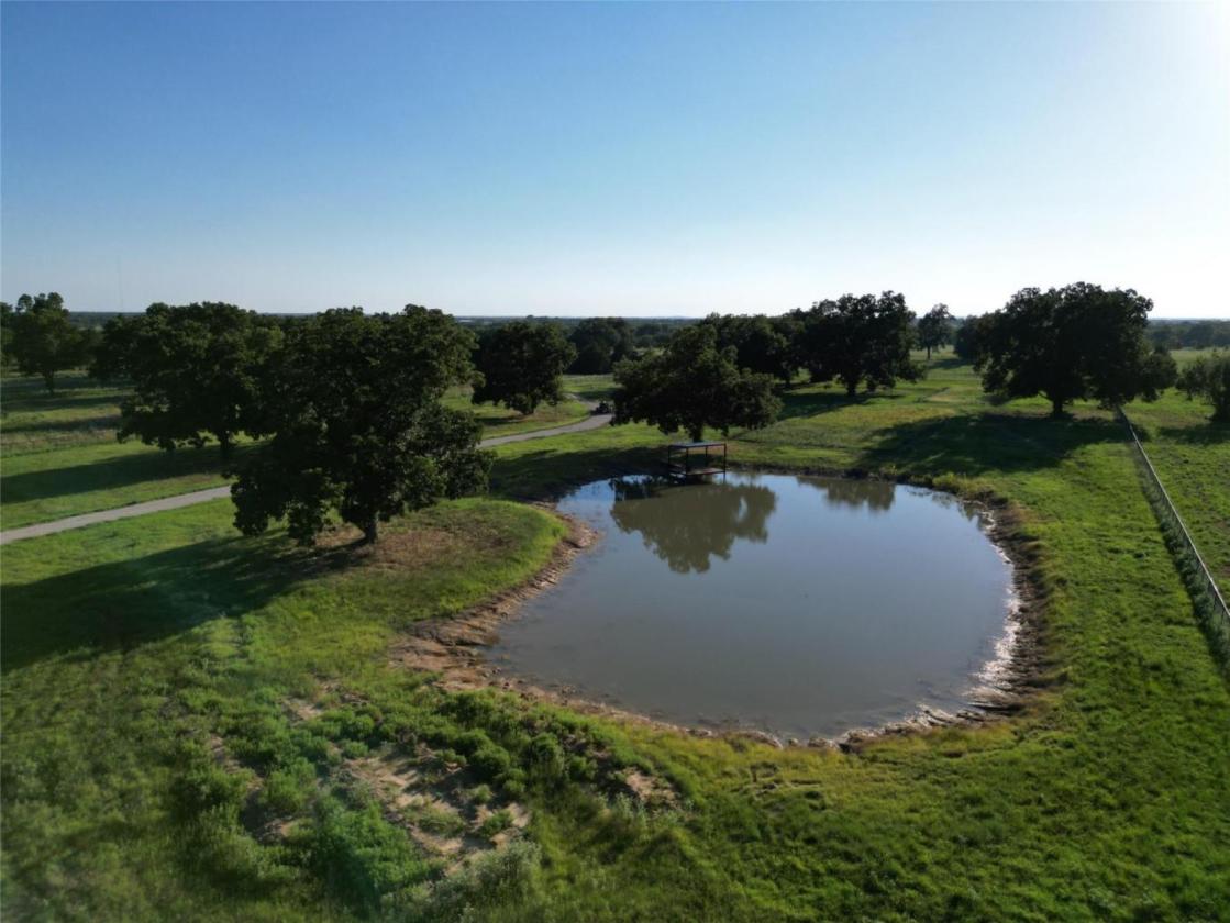 11 Acres of Pecan Trees - photo 8