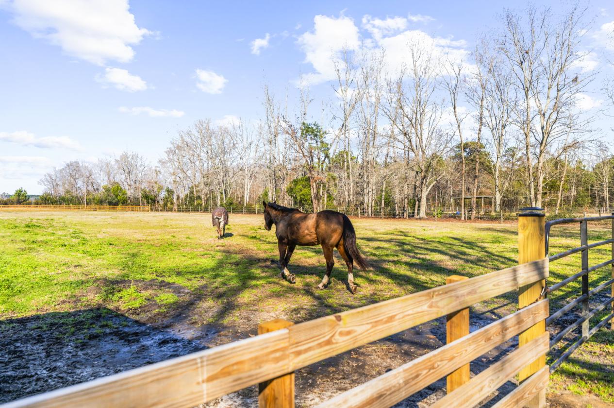Dream Horse Property on Almost 16 Stunning Acres - photo 10