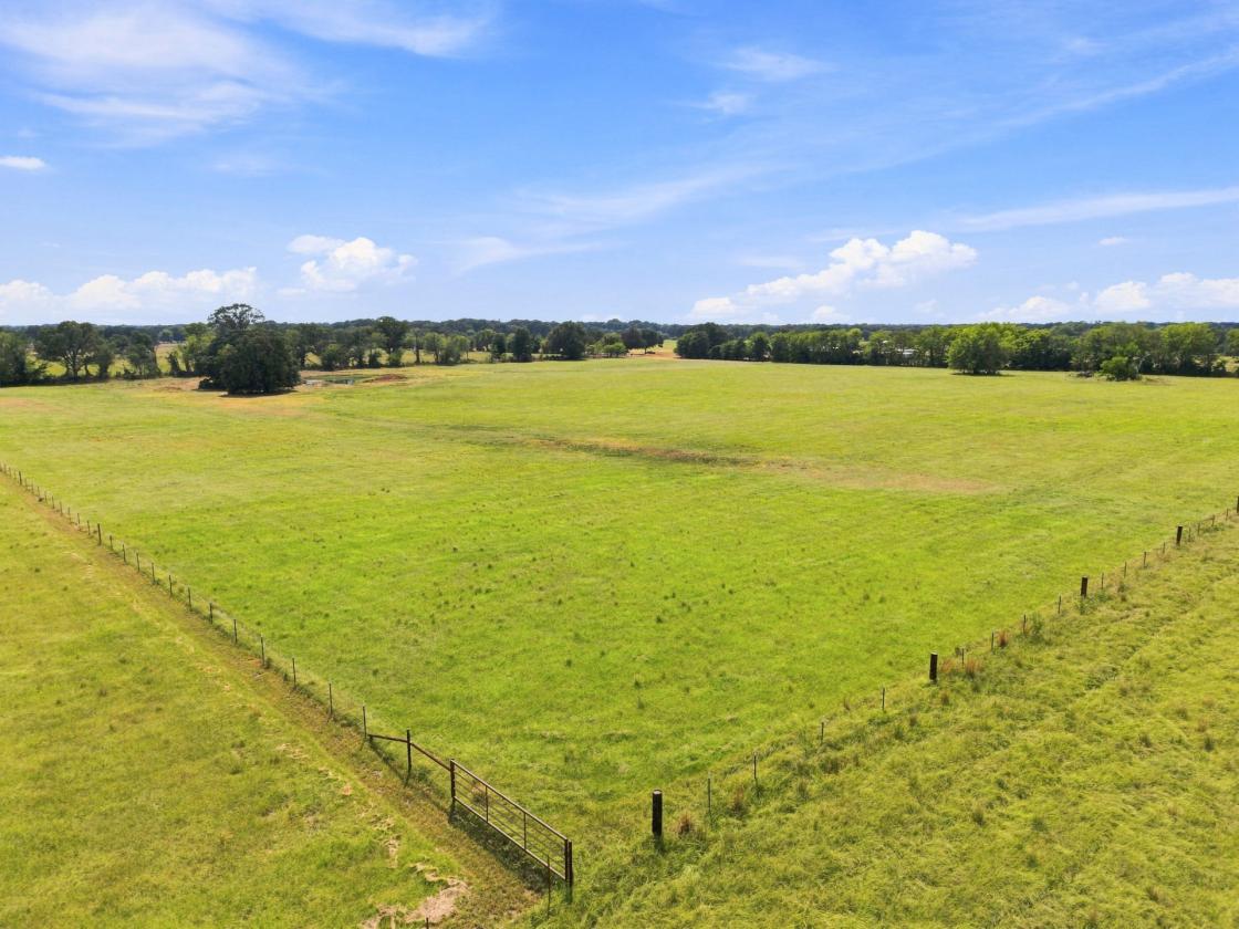 Wide-Open 18± Acres for Horses & Country Living - photo 7