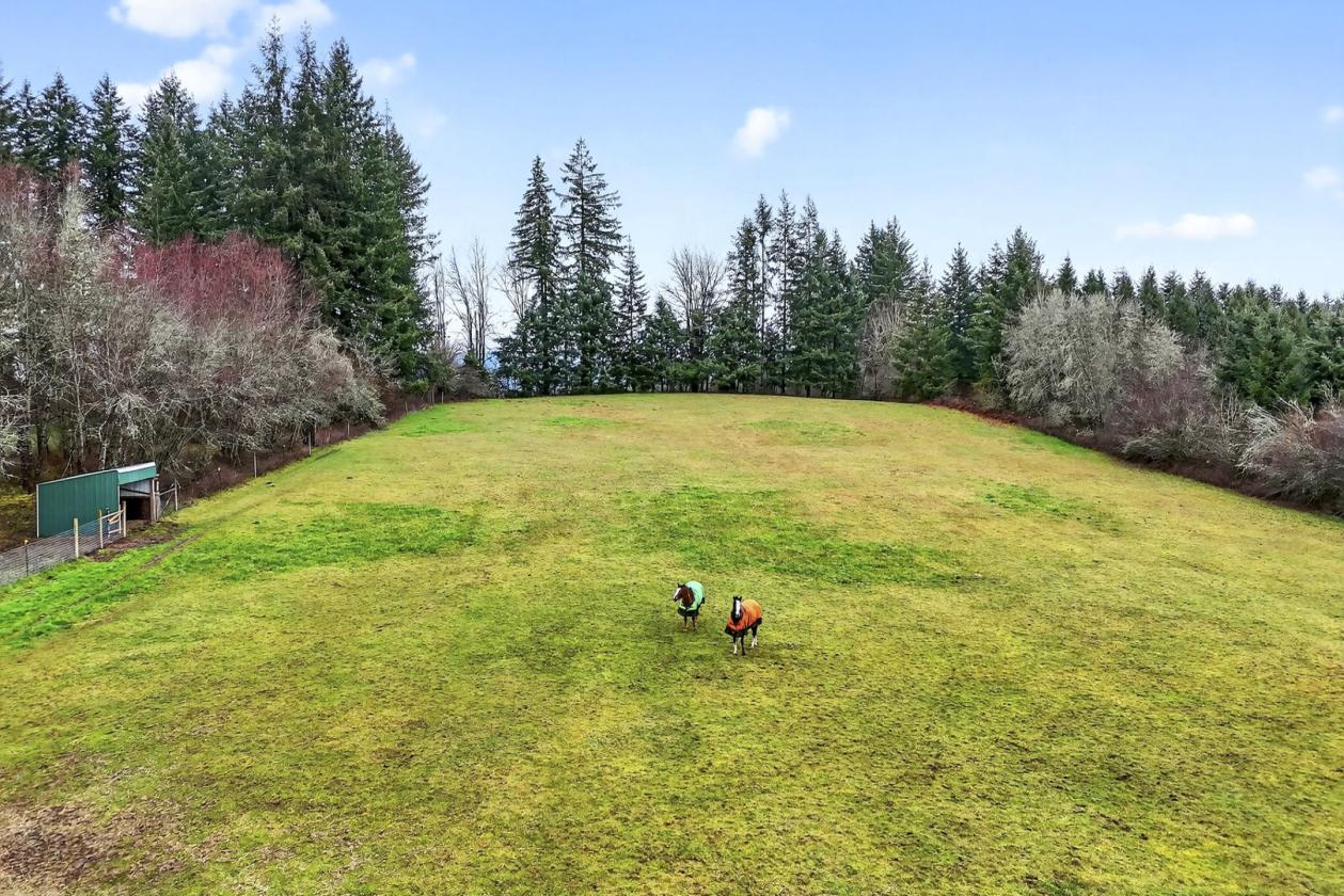 Huge Arena, Ample Pasture & Spacious Home - photo 10
