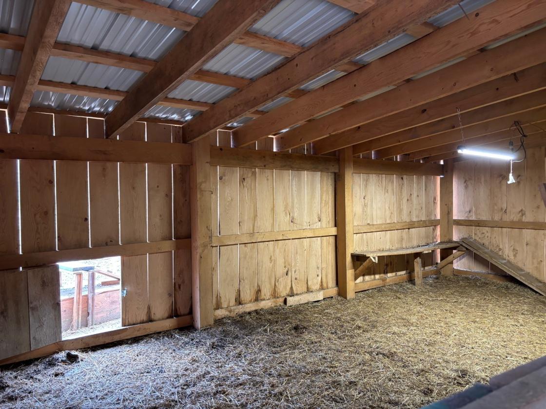 Horse Prop.: Ranch(Handicap) cabin, 55 ac. - photo 16