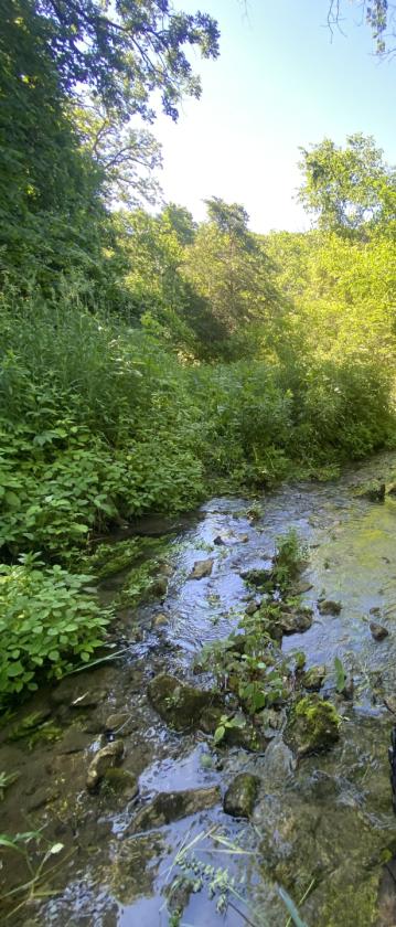 Deep River Farm - photo 22