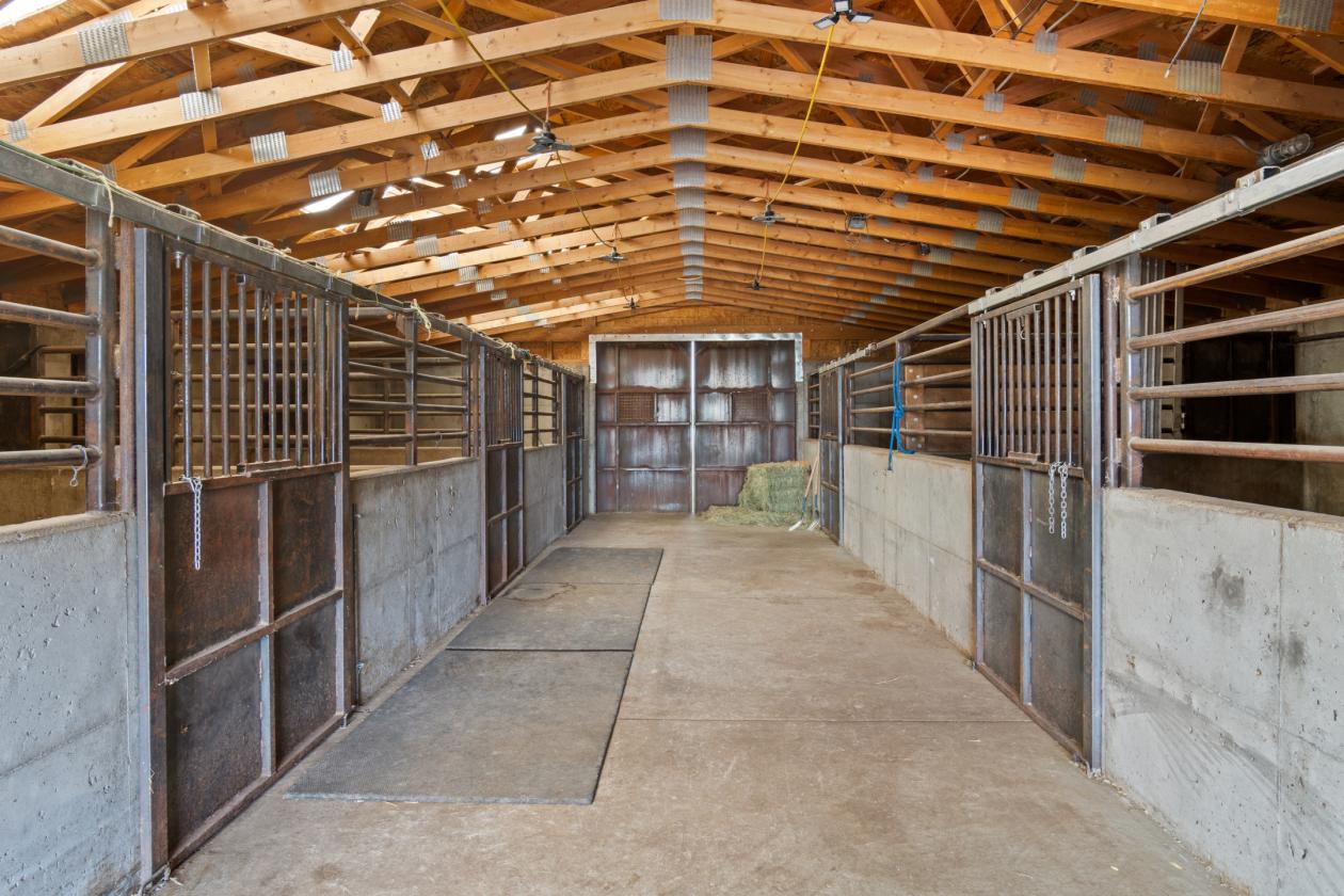 horse property on 60 acres - photo 18
