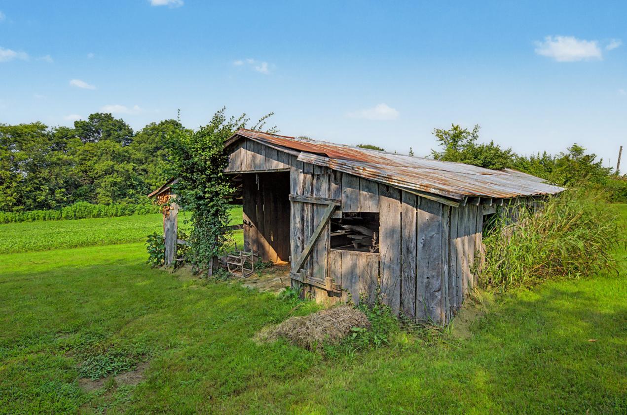 GORGEOUS PROPERTY WITH 12.72 ACRES - photo 13