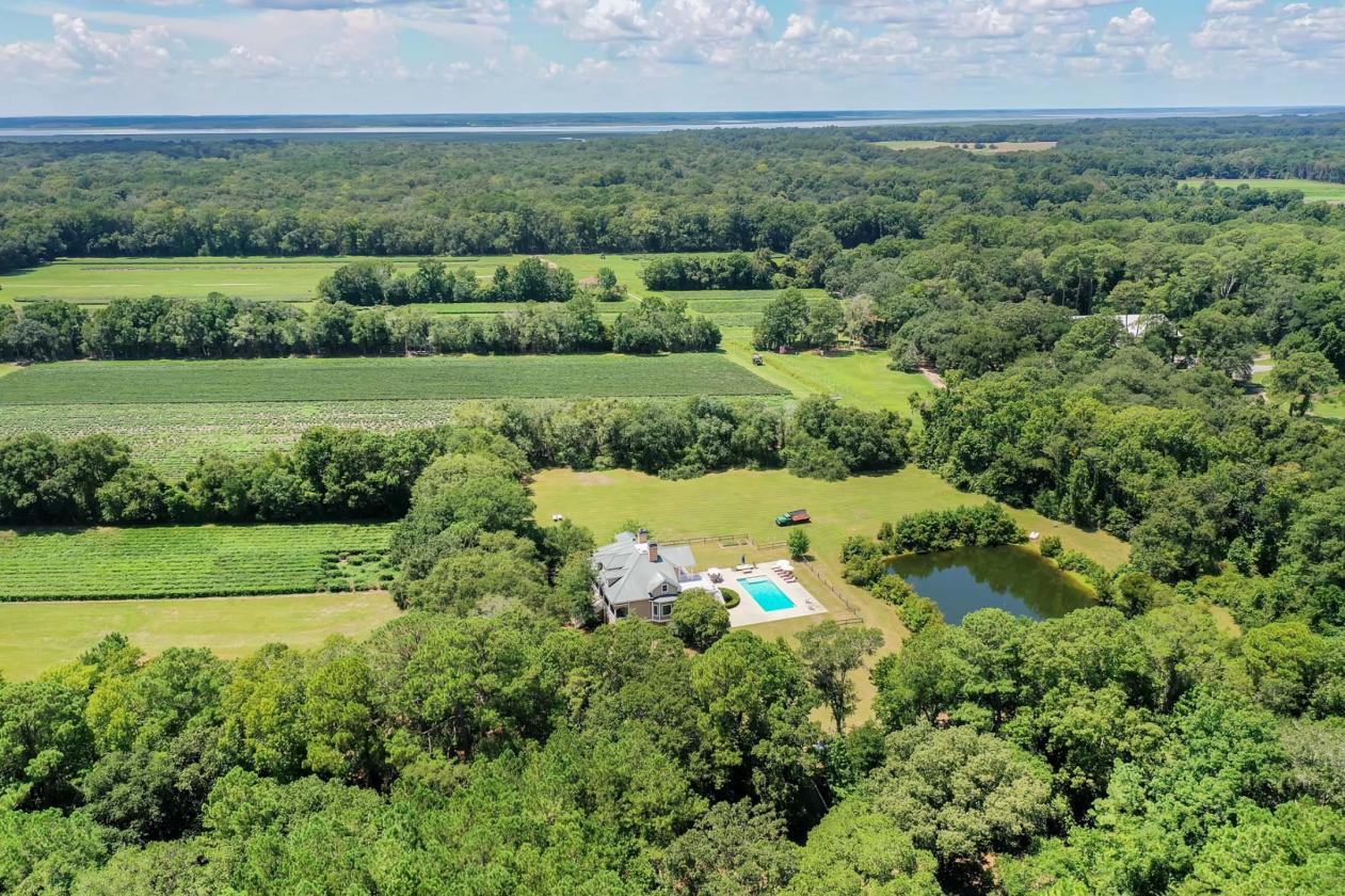 31 Acres with 4-Bedroom Raised Home - photo 18