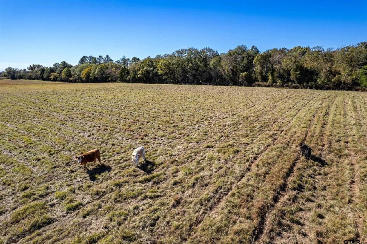 105 Acres of Beautiful Countryside - photo 17