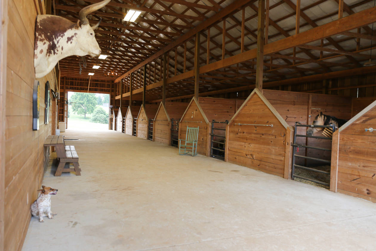 Beautiful Horse Farm on 37.88 in the Knoxville Tennessee area Lenoir City, Loudon County