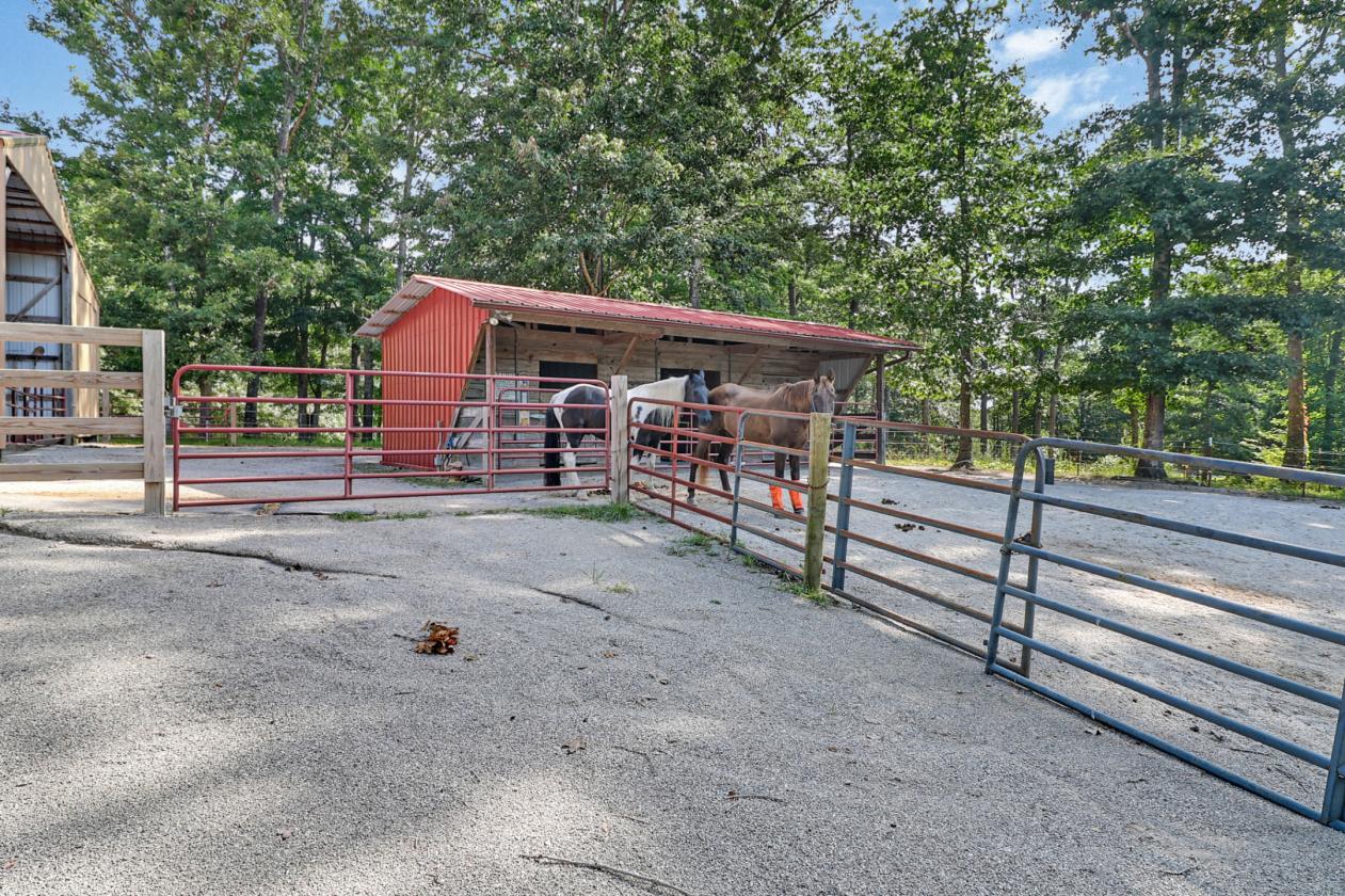 Spacious Cabin in BSF Equestrian community - photo 9