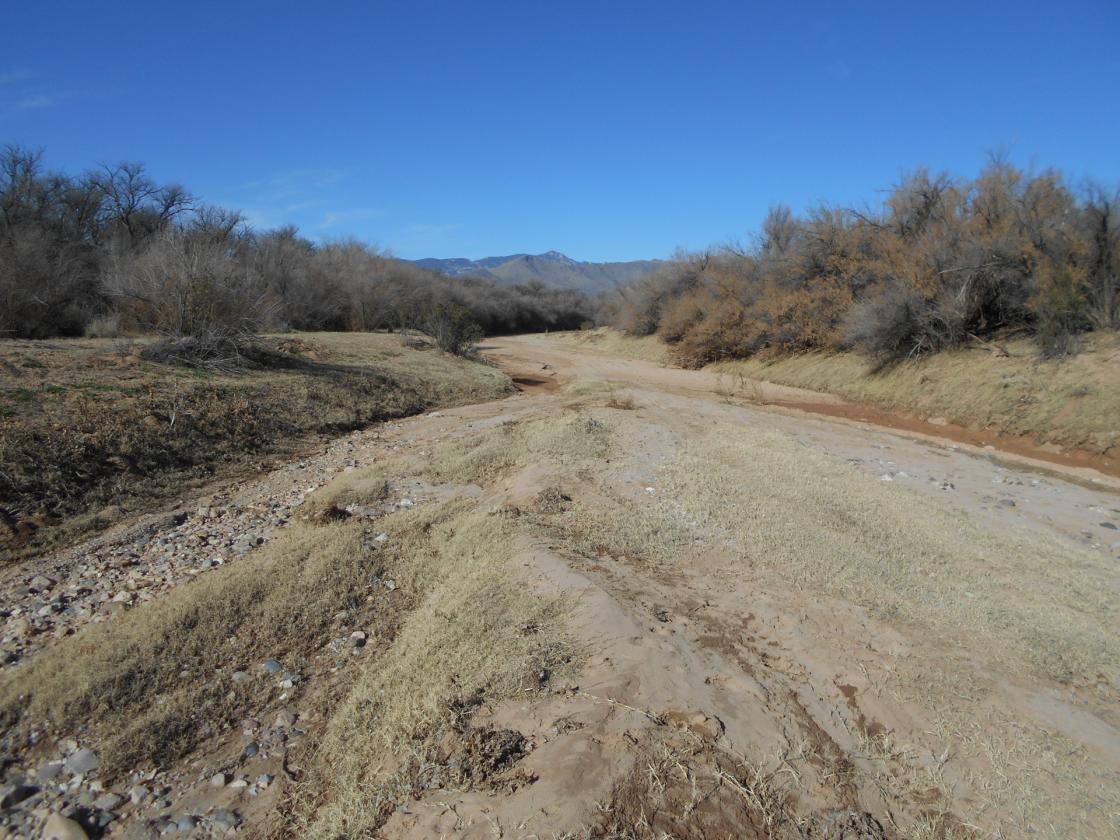 Horse Property - 69 Acres on San Pedro River! - photo 22
